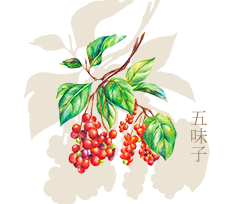 五味子